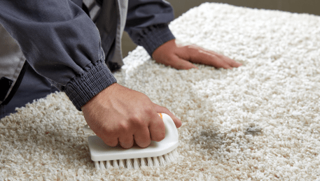 Professional Rug Cleaning Waterways